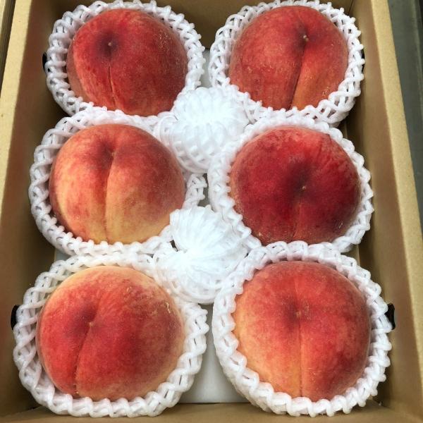 桃　一宮白桃　６入り　１ケース