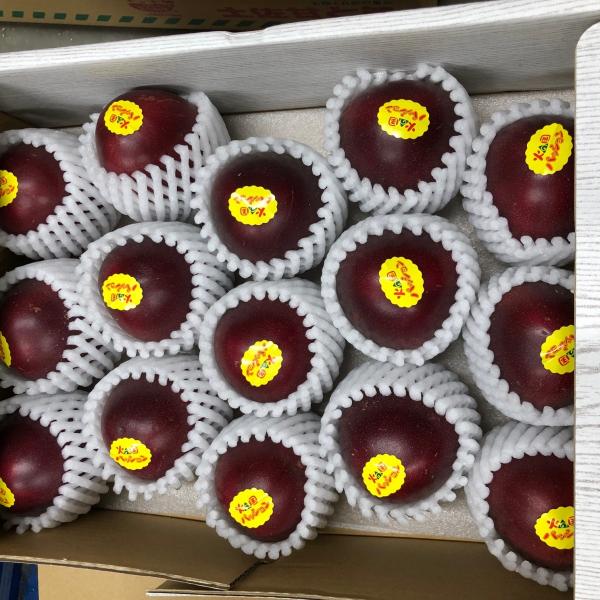 熊本県県産　パッションフルーツ　15入り 1ケース
