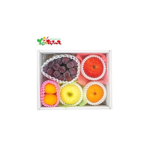 ■スマートフォンでは商品説明に文字数制限があるため、詳しい詳細は必ずパソコン表示で商品説明のご確認をお願い致します！■商品名:旬を味わうフルーツ詰め合わせ■商品内容:季節のフルーツ3〜7点(国産) ※季節によってお届けするフルーツ・総重量・...