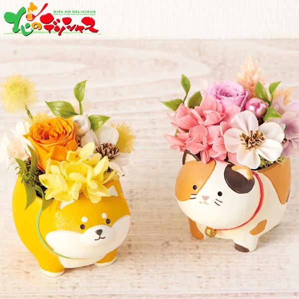 販売終了】 母の日 アニマルプリザ (柴犬orねこ/プリザーブドフラワー