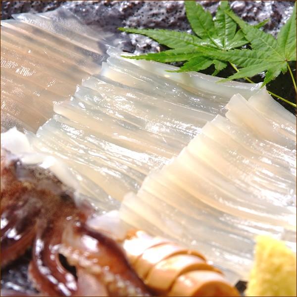 イカ 日本海産 スルメイカ 2kg 生食用 6 7杯入り 船凍品 いか 生食 刺身 塩辛用 北海道 父の日 お中元 ギフト 北海道 高級 グルメ お取り寄せ Buyee Buyee 提供一站式最全面最專業現地yahoo Japan拍賣代bid代拍代購服務 Bot Online