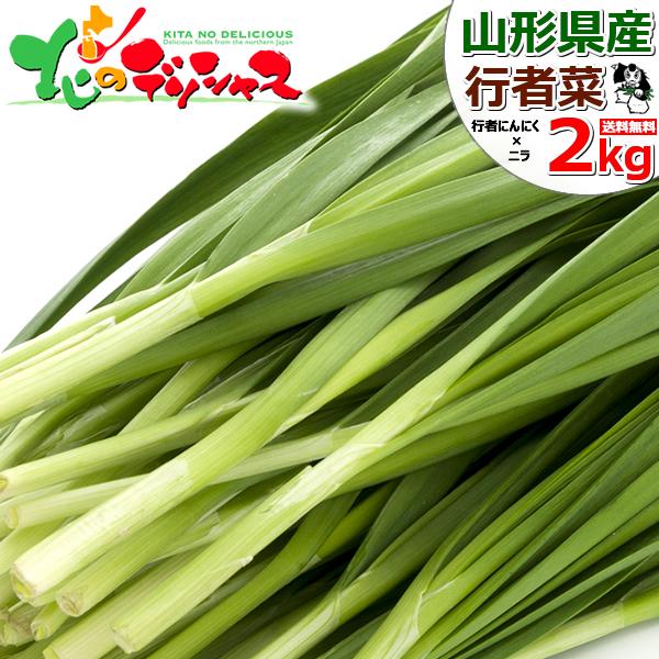 出荷間近/指定日不可】北海道 網走産 行者菜 2kg (100g×20束入り 出荷間近/指定日不可】北海道 網走産 行者菜 2kg (100g×20束入り