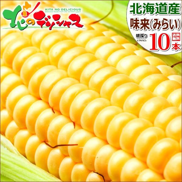 [Release date: July 31, 2026]■商品名：北海道産 味来(黄色系/トウモロコシ)■商品内容：1箱 10本入り(1箱 約3.0kg)※サイズ　L〜2L(280g以上/本)※トウモロコシ専用箱入り■原材料名：トウモロコ...