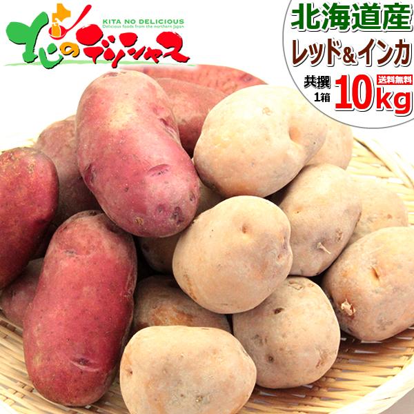 出荷中】北海道産 じゃがいも 10kg(インカのめざめ 5kg・レッドムーン 5kg) ジャガイモ 馬鈴薯 新じゃが 越冬 野菜 北海道 グルメ 送料無料 お取り寄せ :nj-redmoon-inka-10kg:北のデリシャス - 通販 - Yahoo!ショッピング 出荷中】北海道産 じゃがいも 10kg(インカのめざめ 5kg・レッドムーン 5kg) ジャガイモ 馬鈴薯 新じゃが 越冬 野菜 北海道 グルメ 送料無料 お取り寄せ :nj-redmoon-inka-10kg:北のデリシャス - 通販 - Yahoo!ショッピング