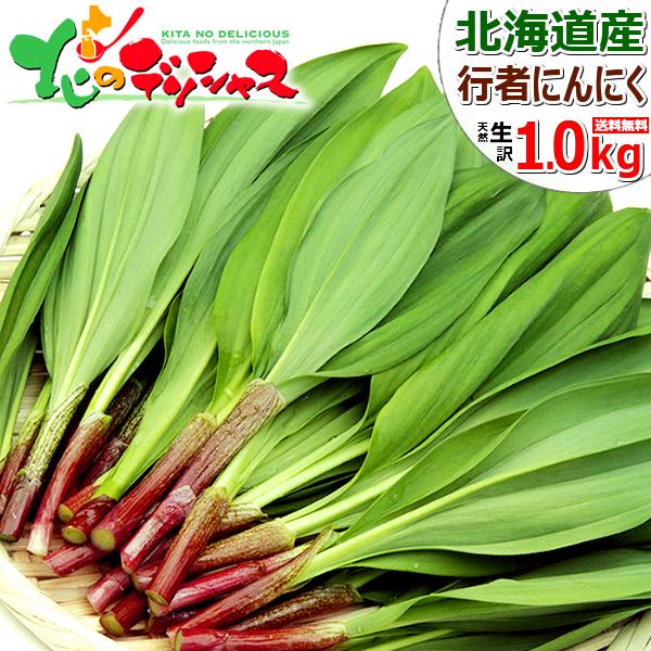 出荷中/お届け日指定不可】北海道産 山菜 ご家庭用 行者にんにく 出荷中/お届け日指定不可】北海道産 山菜 ご家庭用 行者にんにく