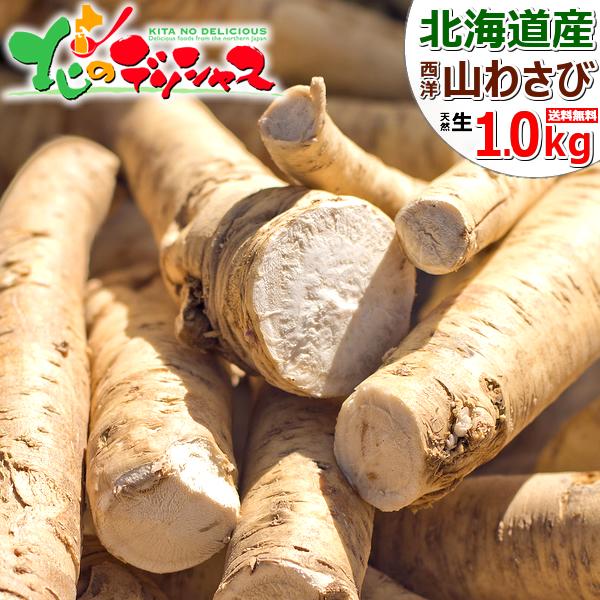 わさび お取り寄せの人気商品・通販・価格比較 - 価格.com わさび お取り寄せの人気商品・通販・価格比較 - 価格.com