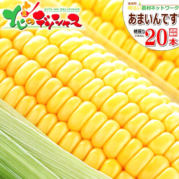 [Release date: August 6, 2026]【8月上旬〜出荷】北海道南幌町のとうもろこしの旬は8月上旬〜9月上旬になります。例年だとお盆の期間を含む8月10〜20日に一番収穫が多くなります。■商品名：南幌町明るい農村ネットワ...