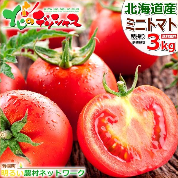 販売終了 北海道 南幌町産 ミニトマト 3kg ラブリー藍orアイコ トマト ジュース ギフト 贈り物 贈答 プレゼント 人気 北海道産 野菜 グルメ お取り寄せ Np Minitomato Lovely Ai 3kg 北のデリシャス 通販 Yahoo ショッピング