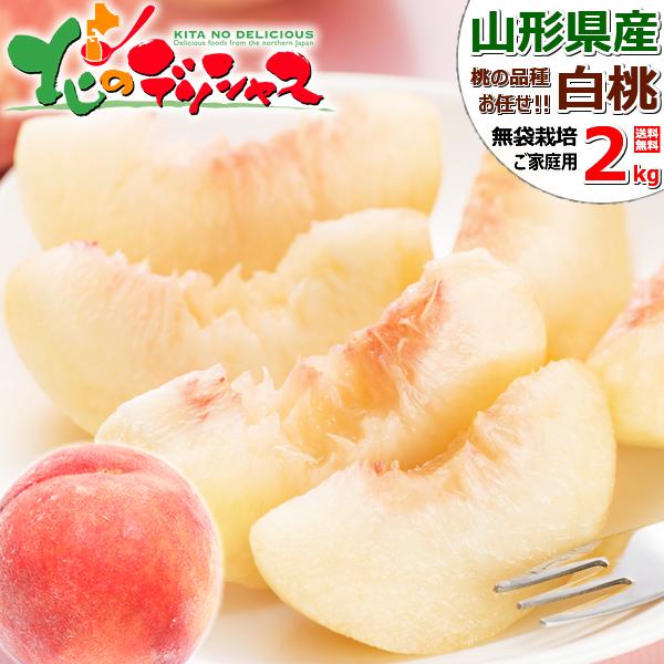 【予約】山形県産 ご家庭用 白桃 2kg (6玉〜9玉入り/クール冷蔵便) 訳あり 北の桃源郷 自宅...