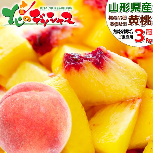 y\zR`Y ƒp  3kg (܍͔|/8ʁ`12ʓ/N[①)    󂠂 p ƒp t[c R` Yn 