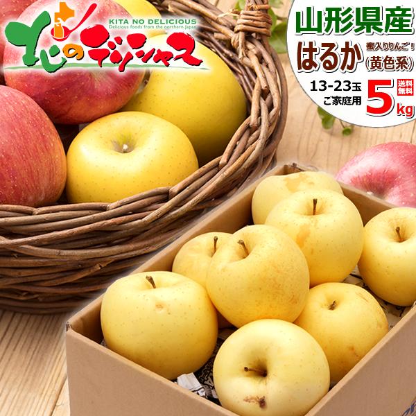 訳あり りんご 5kg - 食品の人気商品・通販・価格比較 - 価格.com 訳あり りんご 5kg - 食品の人気商品・通販・価格比較 - 価格.com