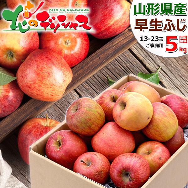 [Release date: October 1, 2024]■商品名：山形県産 ご家庭用 りんご 早生ふじ 5kg(訳あり品)■商品内容：1箱 5.0kg(13玉〜23玉入り)※ご家庭用/訳あり品※蜜は入りません！※りんごの品種や玉数のご...