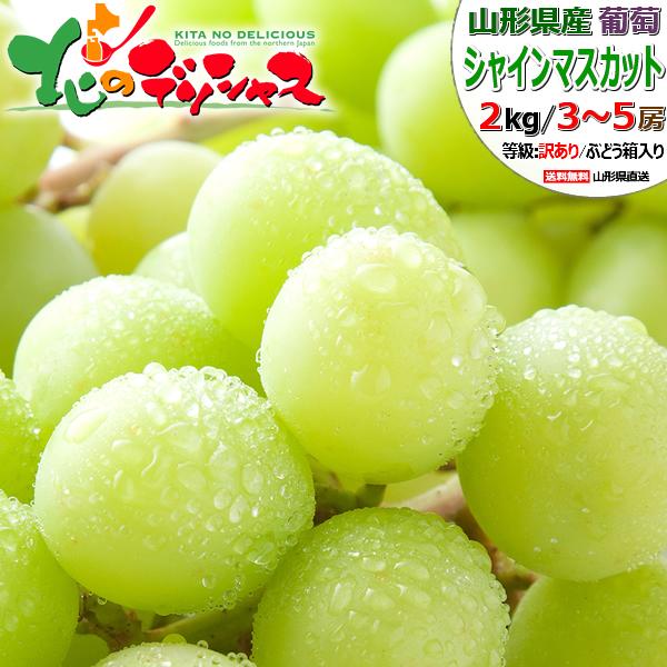 出荷中】山形県産 ぶどう ご家庭用 シャインマスカット 2kg (3〜5房