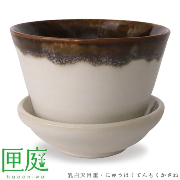 美濃焼 3号鉢 乳白天目重 陶器鉢 受け皿セット 匣庭 手のひらサイズ かわいい インテリア 観葉植物 室内 ガーデニング プランター 盆栽 苔玉 植木 鉢 送料無料 Buyee Buyee Japanese Proxy Service Buy From Japan Bot Online