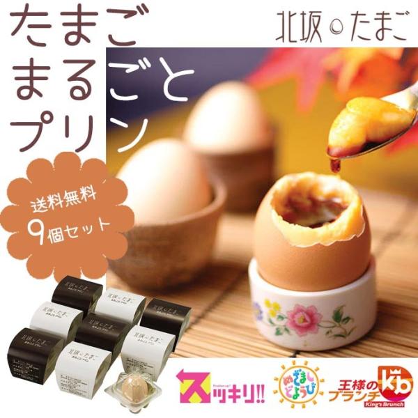 9WH k₽܂̂܂܂邲ƃvKP-9 lC v[g   Ε a/W[u