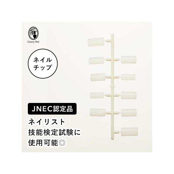 JNEC認定 STモデルハンド ネイルチップ 練習用/トレーニング用 JNEC認定 STモデルハンド ネイルチップ 練習用/トレーニング用