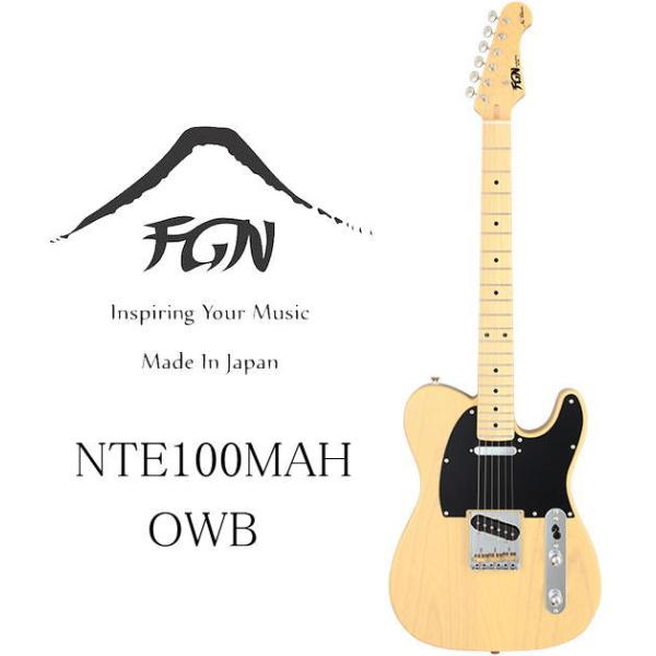 FUJIGEN（フジゲン） [※お取り寄せ商品] FGN FUJIGEN NTE100MAH OWB