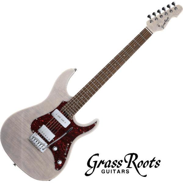 g-sakai_grassroots-g-snapper-