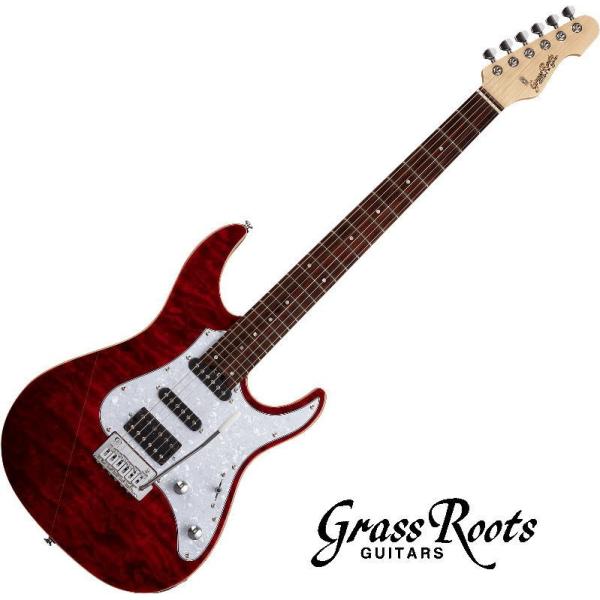 新品　Grass roots G-snapper CTMシースルーレッド GrassRoots G-SNAPPER-CTM See Thru Red（新品）【楽器検索