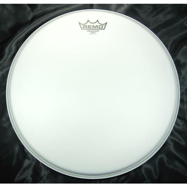 REMO 113TA BA-0113-JP Coated Ambassador 13"  13C`i33cmj ^E^ hEwbh R[ebh AoT_[
