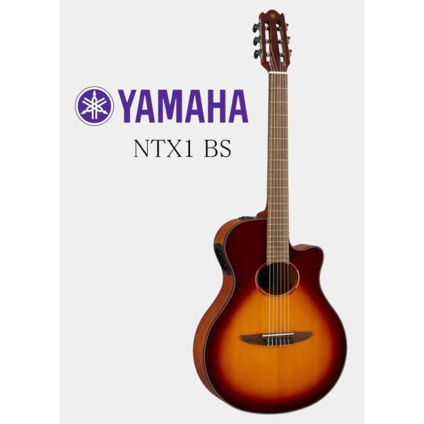 [񂹏i] YAMAHA NTX1 BS Brown Sunburst Electric Nylon Strings Guitar }n GNgbNEiCEXgOXEM^[ GKbg