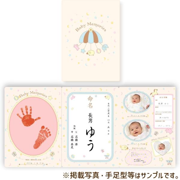 他サイト： おたんじょうきろく 命名紙セット お誕生記録 パイロットコーポレーションの商品画像