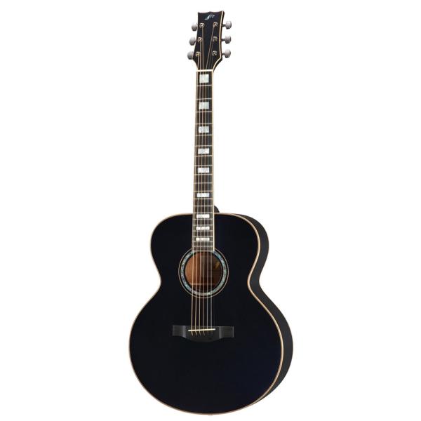 MORRIS モーリス MG301BLK アコースティックギター 新品弦 2025