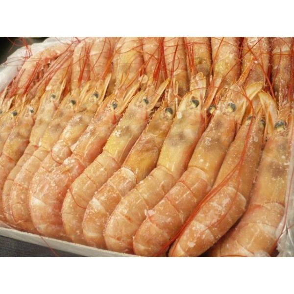 !!@Ԃс@Hp@2000@TOO@