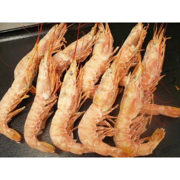 !!@Ԃс@Hp@500@10`13