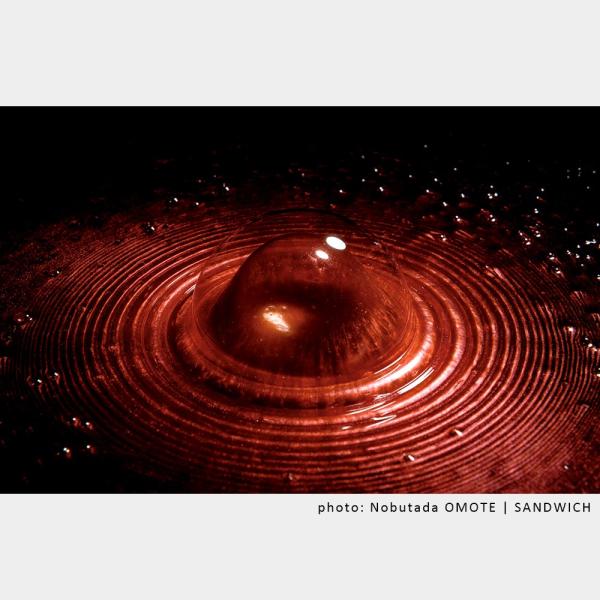 Metamorphosis 通常版 名和晃平作品集 Buyee Buyee 提供一站式最全面最專業現地yahoo Japan拍賣代bid代拍代購服務bot Online