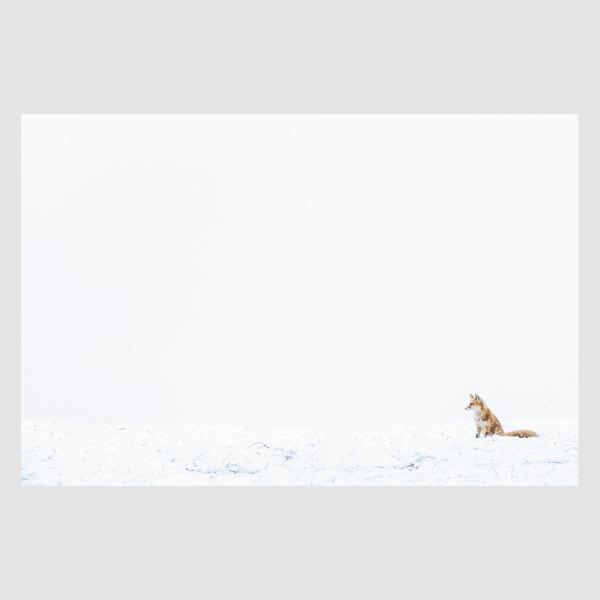 Follow Me ふゆのきつね井上浩輝初写真集 Buyee Buyee 提供一站式最全面最專業現地yahoo Japan拍賣代bid代拍代購服務bot Online