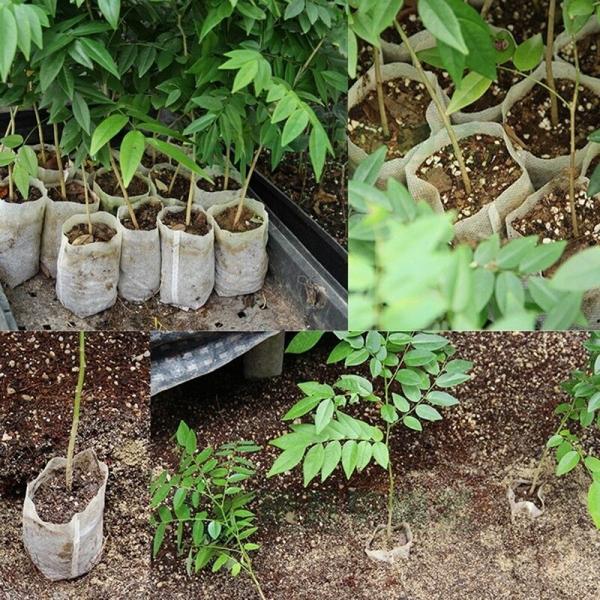 100枚セット 不織布 ポット プランター バッグ 布鉢 鉢植え 植木 袋 容器 ガーデニング 庭 Buyee Buyee 일본 통신 판매 상품 옥션의 대리 입찰 대리 구매 서비스