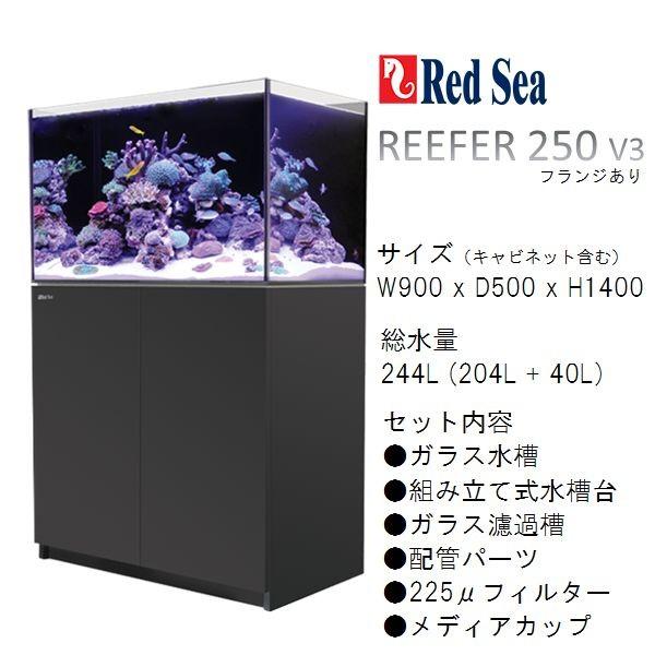 注目ブランド レッドシー リーファー250 V3 クラシックモデル ブラックキャビネットセット 店頭引取価格 正規店仕入れの Zoetalentsolutions Com
