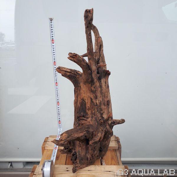 No 02 Adaホーンウッド風流木 Xxlサイズ 約60 80cm Www Masplarestaurant Com