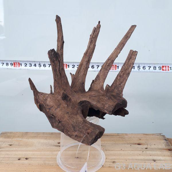 No 111 Adaホーンウッド風流木 Sサイズ 約15 25cm Dejapan 手数料０円で日本の商品を購買代行 落札代行