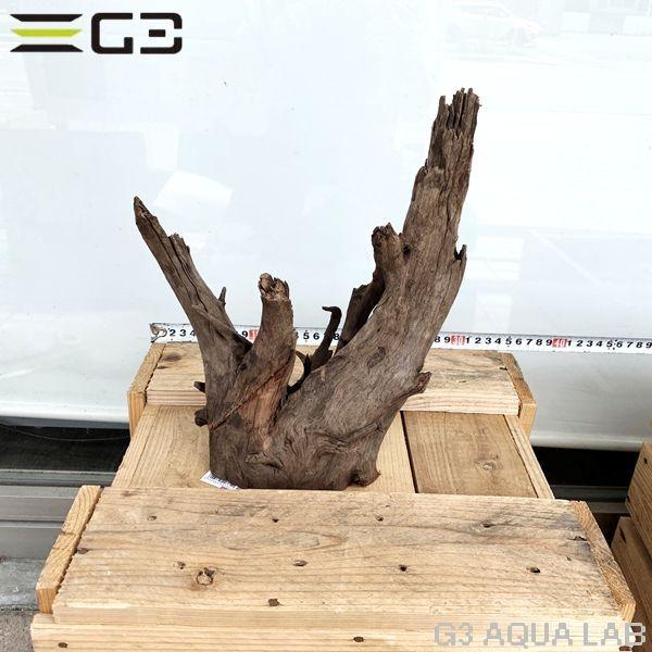 No 158 Adaホーンウッド風流木 Mサイズ 約 30cm Ypt Or Id