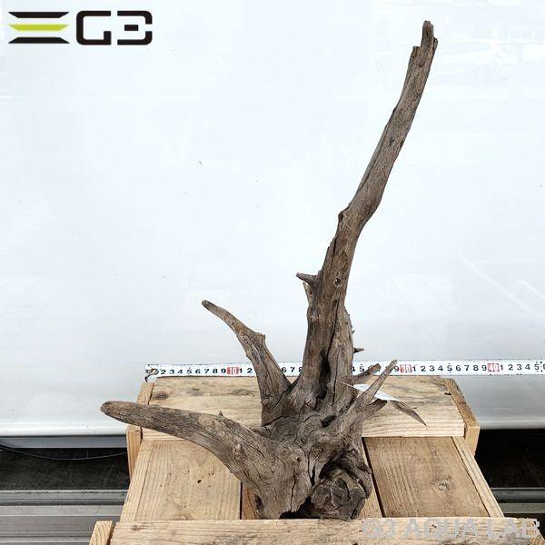 No 181 Adaホーンウッド風流木 Lサイズ 約30 40cm Apaproduction Fr