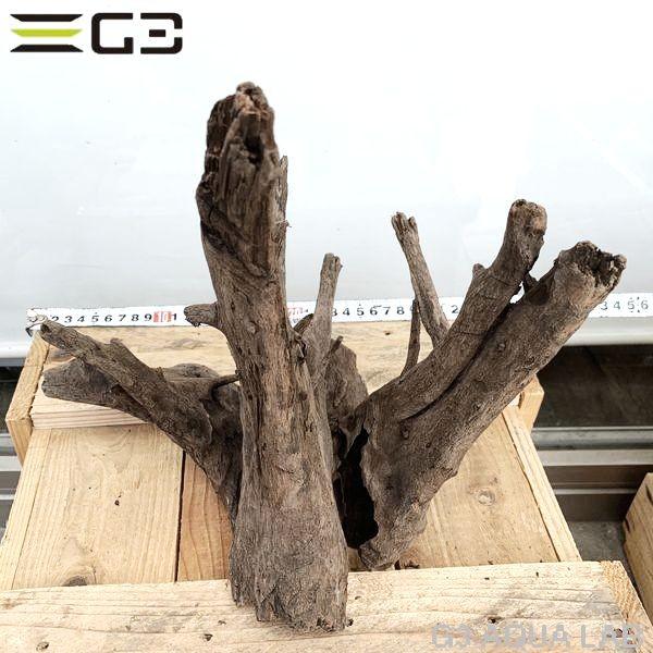 No 190 Adaホーンウッド風流木 Lサイズ 約30 40cm Pymr Go Th