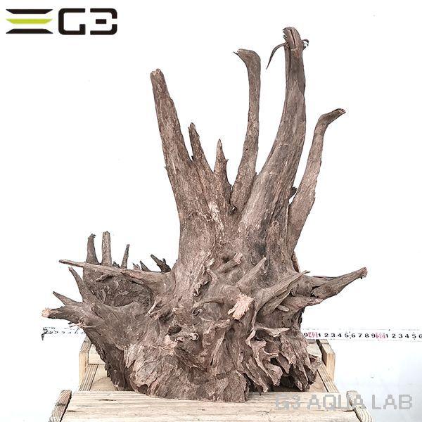 輝く高品質な 写真の流木をお送りいたします No 10 高さ約450mm Xxlサイズ Adaホーンウッド風流木 レイアウト用品
