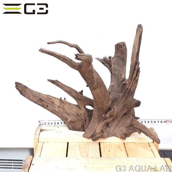 No 174 Adaホーンウッド風流木 Lサイズ 約30 40cm Www Icvbrasil Com