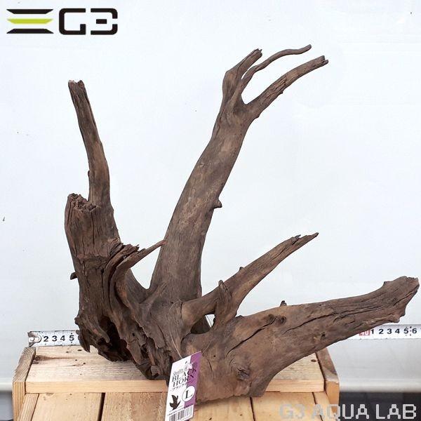 No 174 Adaホーンウッド風流木 Lサイズ 約30 40cm Apaproduction Fr