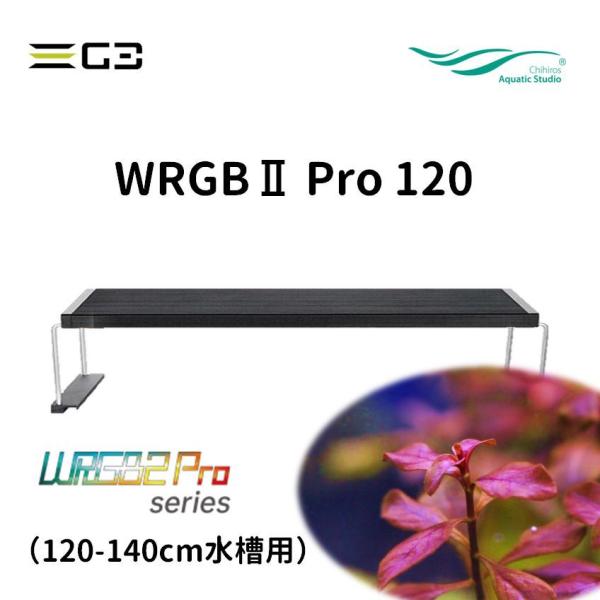 g3aqualab_45337605351179
