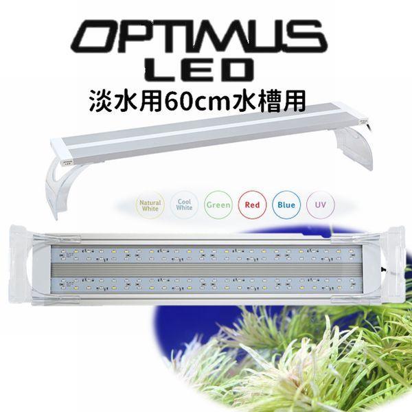送料無料 Orca オプティマスled60 淡水用 水草育成led照明 60cm水槽用 G3 Aqua Lab ヤフーショップ 通販 Yahoo ショッピング