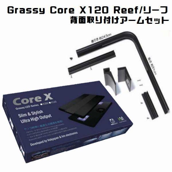 送料無料 ボルクス グラッシーコア X120 リーフ(LPSサンゴ 送料無料 ボルクス グラッシーコア X120 リーフ(LPSサンゴ