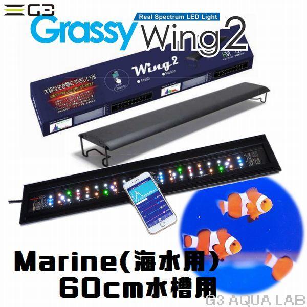 ボルクス グラッシーウィング2 マリン 60cm水槽用 : G3 AQUA LAB ボルクス グラッシーウィング2 マリン 60cm水槽用 : G3 AQUA LAB