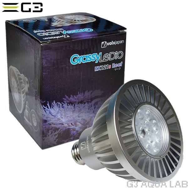 送料無料 volxjapan GrassyLeDio RX121S Reef(シルバー)サンゴ 送料無料 volxjapan GrassyLeDio RX121S Reef(シルバー)サンゴ