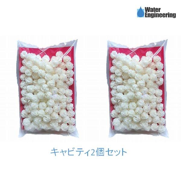 レッドシー キャビティ Cavity 1L 物理・生物ろ過ろ材 ウォーター