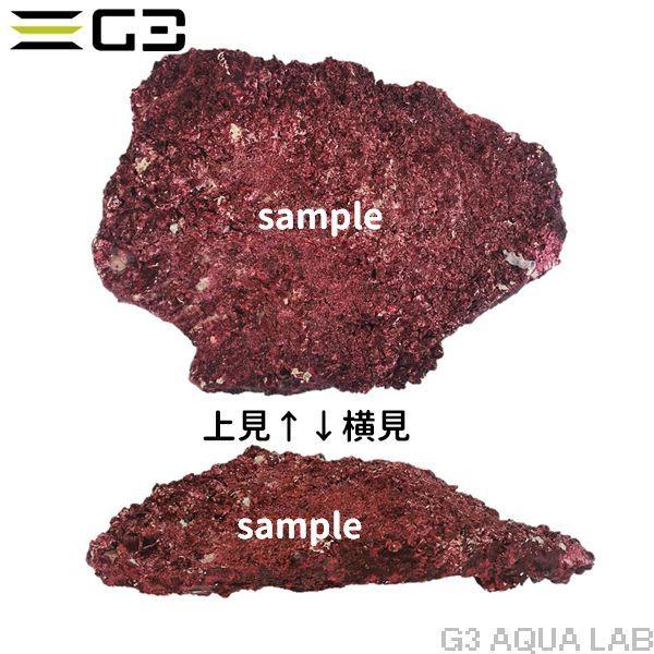 人工ライブロック リアルリーフロック シェルフ テーブル状 Lサイズ1枚 約30cm 同梱発送不可 2 G3 Aqua Lab ヤフーショップ 通販 Yahoo ショッピング