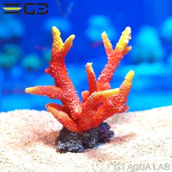 ゼンスイ ZEST レプリカサンゴ M-3 : G3 AQUA LAB ヤフーショップ