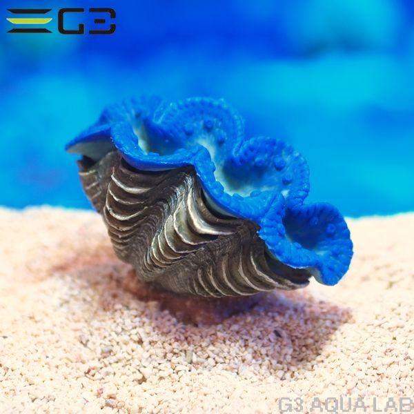 ゼンスイ ZEST レプリカサンゴ S-10 : G3 AQUA LAB ヤフーショップ